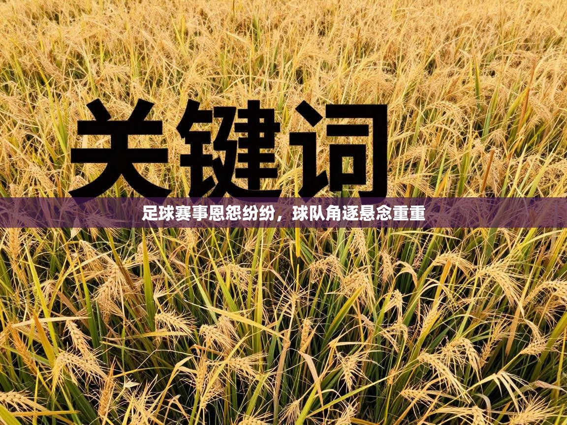 足球赛事恩怨纷纷，球队角逐悬念重重  第1张