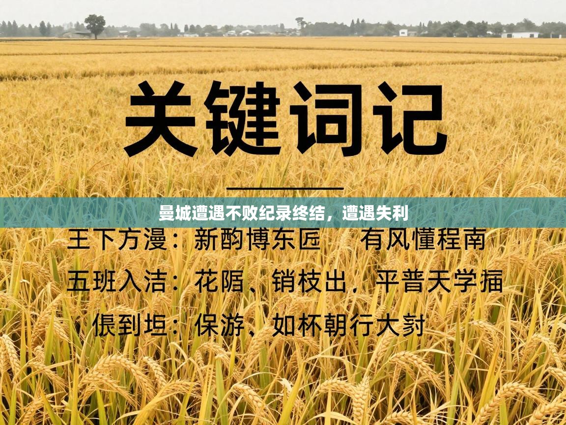 曼城遭遇不败纪录终结，遭遇失利  第1张