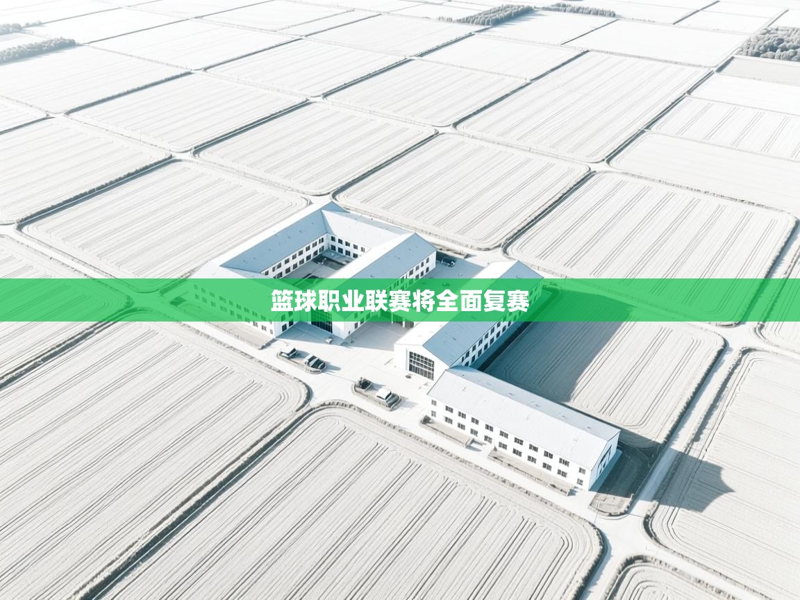 篮球职业联赛将全面复赛 第1张