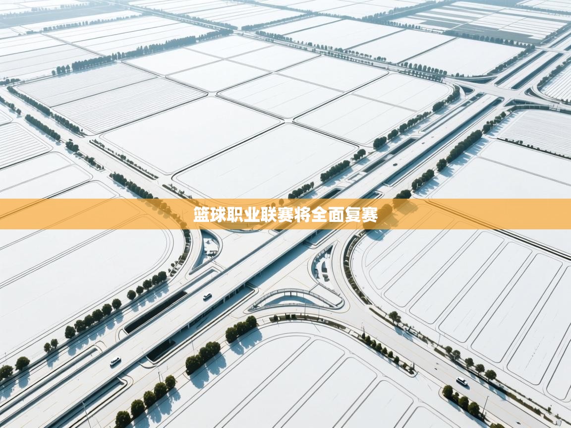 篮球职业联赛将全面复赛 第2张